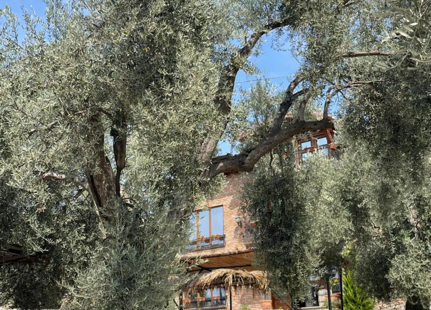 Hotel Bujtina Ajazi Golem  Pensión Golem (Tirana)